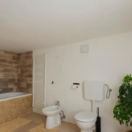 Authentic Istrian Stazione With Pool Tatil Evi Cabrunici