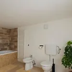 Authentic Istrian Stazione With Pool Ferienhaus Cabrunici